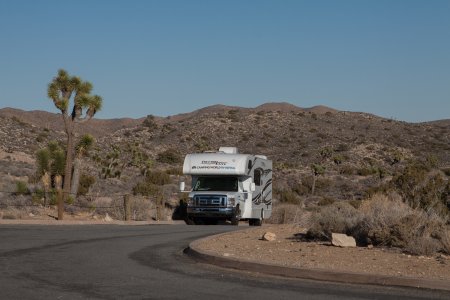 Onze camper in Joshua Tree National Park